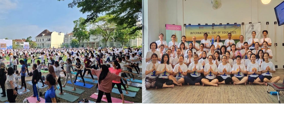 International Day of Yoga - 2023 organised on three different places in Medan
